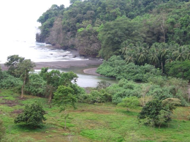 Fly fishing in Panama